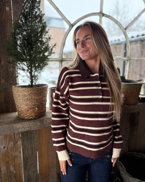 Polo chocolat - AUDREY