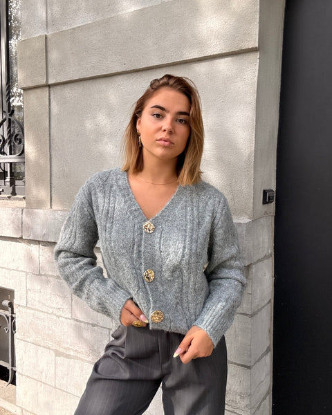 Gilet gris - TRESSES