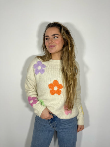 Pull - JASINTE