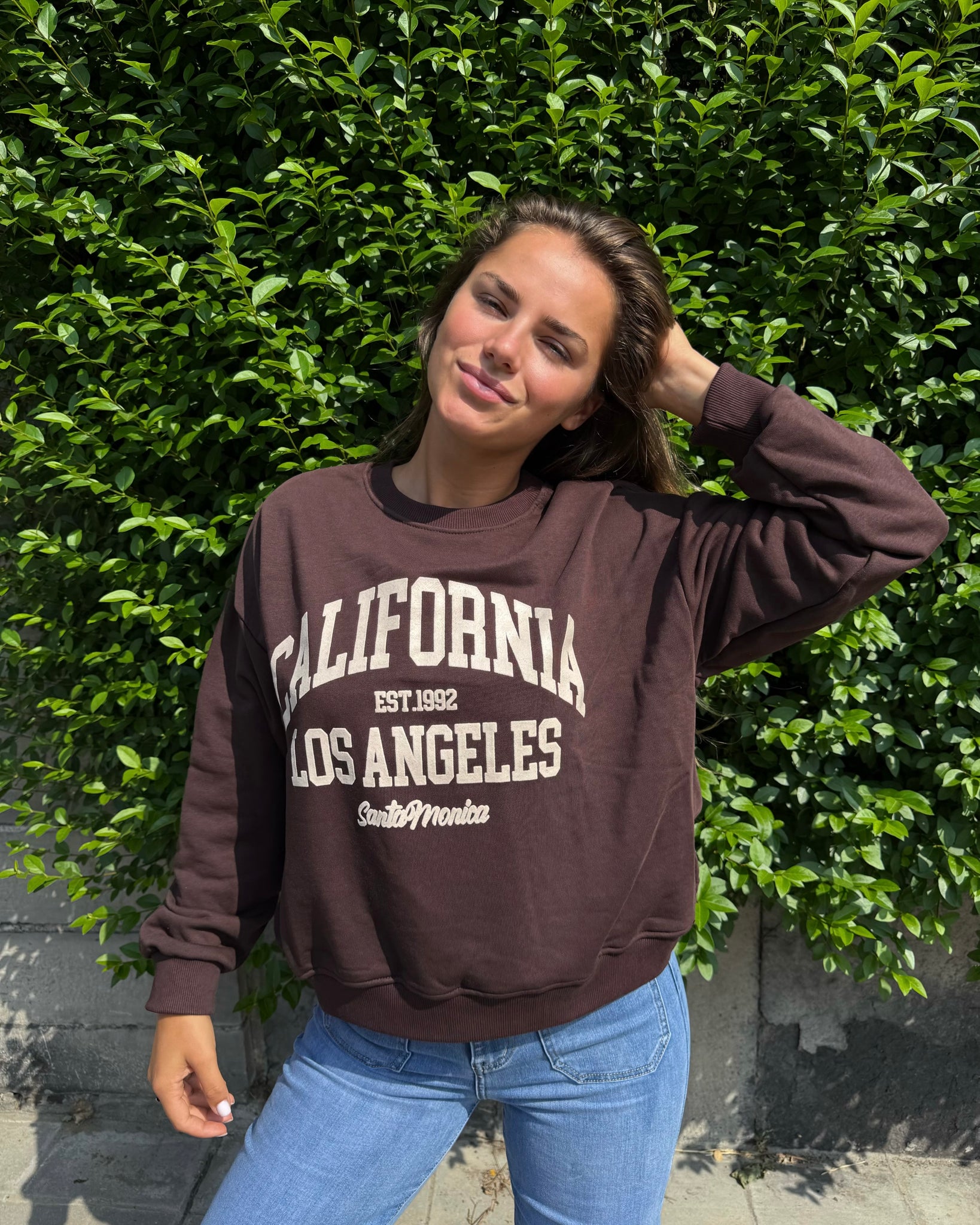 Pull chocolat  - CALIFORNIA
