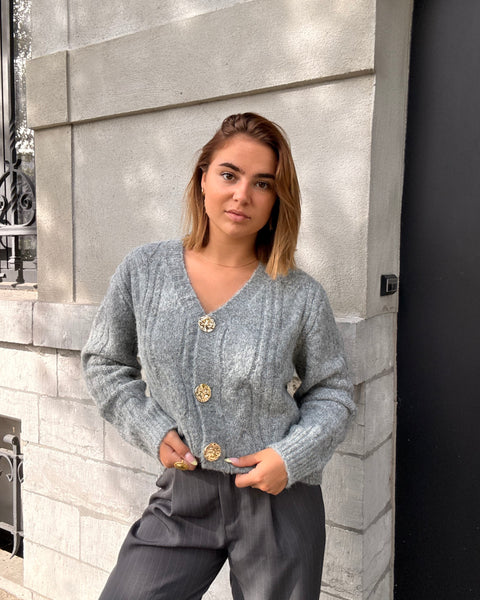 Gilet gris - TRESSES