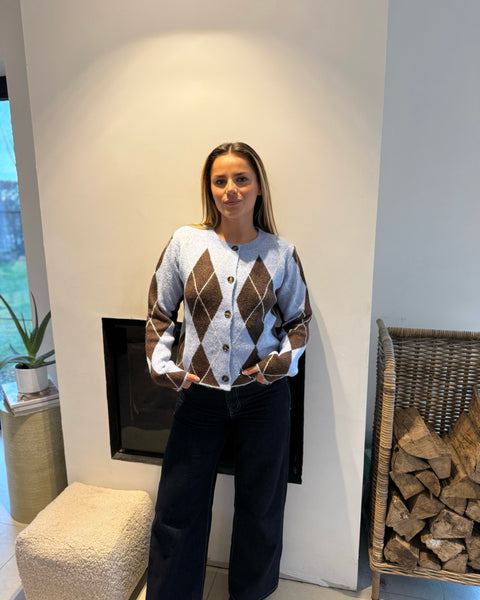 Gilet bleu/marron - CASSTI