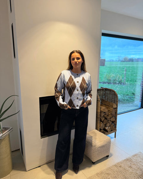 Gilet bleu/marron - CASSTI