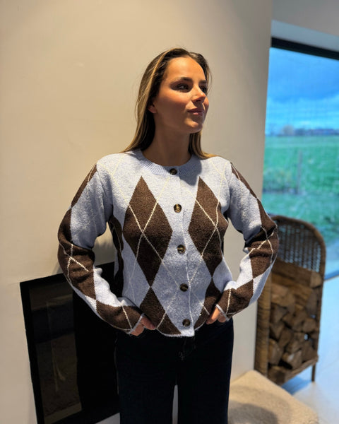 Gilet bleu/marron - CASSTI