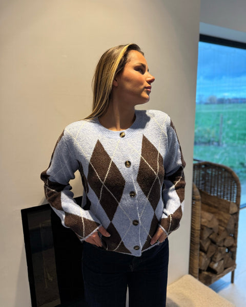 Gilet bleu/marron - CASSTI