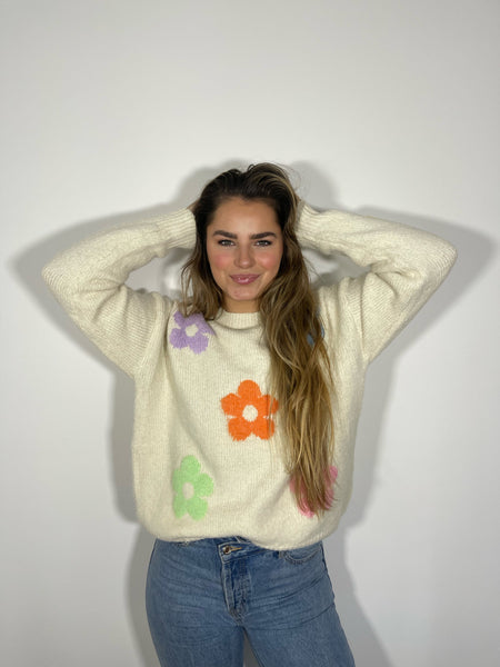Pull - JASINTE