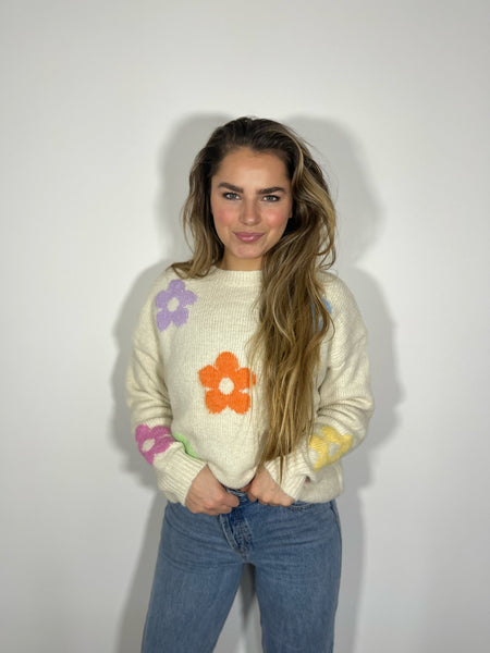 Pull - JASINTE