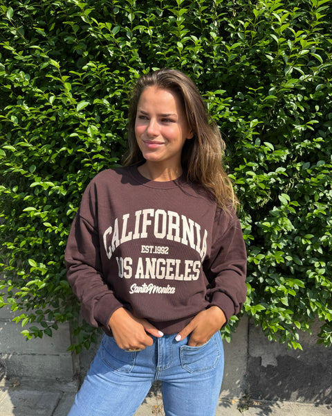 Pull chocolat  - CALIFORNIA