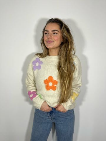 Pull - JASINTE