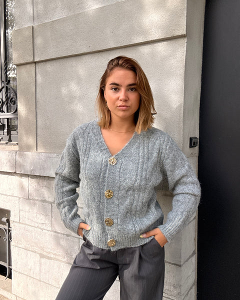 Gilet gris - TRESSES