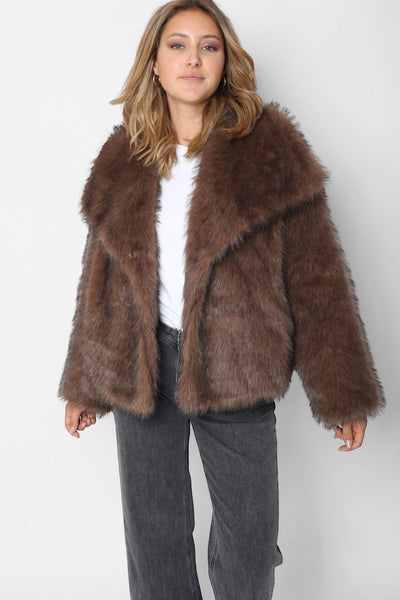 Veste marron foncé - FURIUSIA