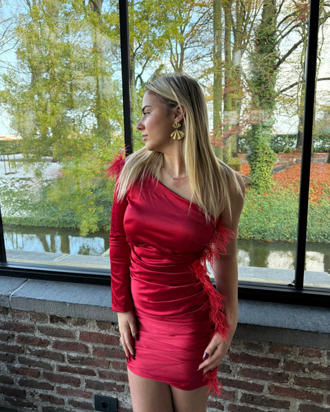 Robe rouge - PLUME