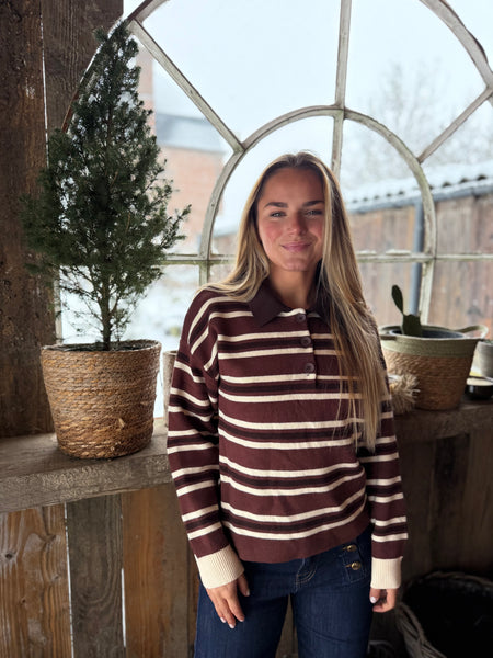 Polo chocolat - AUDREY