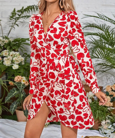 Robe - SANY